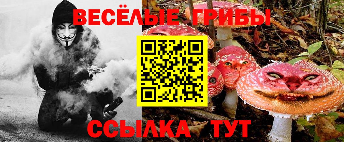 Галлюциногенные грибы Magic Shrooms  Вход с VPN  Ноябрьск  Псилоцибиновые грибы Cubensis 