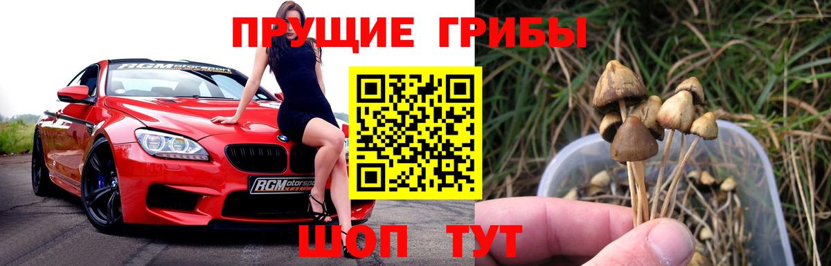 Псилоцибиновые грибы GOLDEN TEACHER Ноябрьск